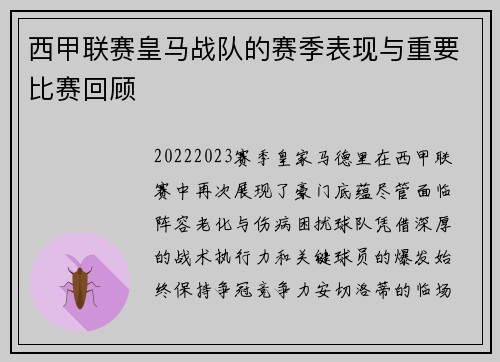 西甲联赛皇马战队的赛季表现与重要比赛回顾